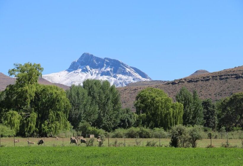 مبيت وإفطار The Ibis Lounge