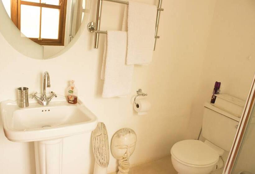 مبيت وإفطار The Ibis Lounge