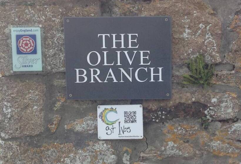 צימר The Olive Branch