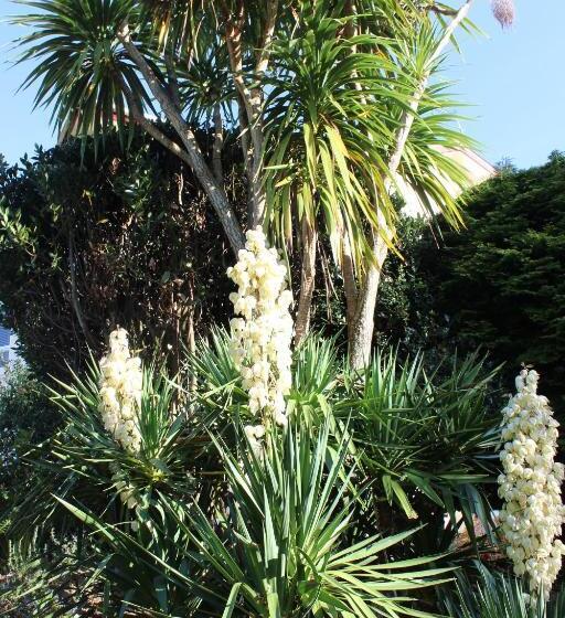 צימר Trafalgar House