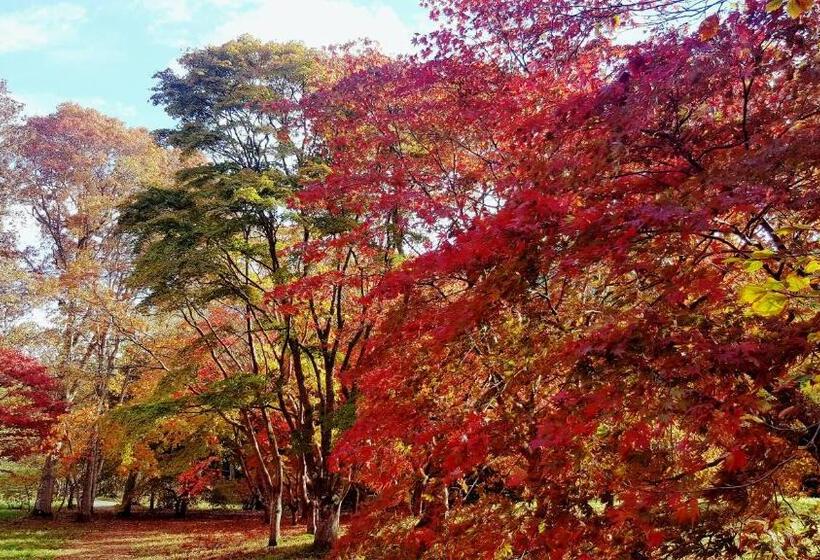 Bod Gwynedd Bed And Breakfast