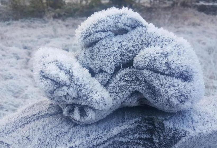 Bod Gwynedd Bed And Breakfast