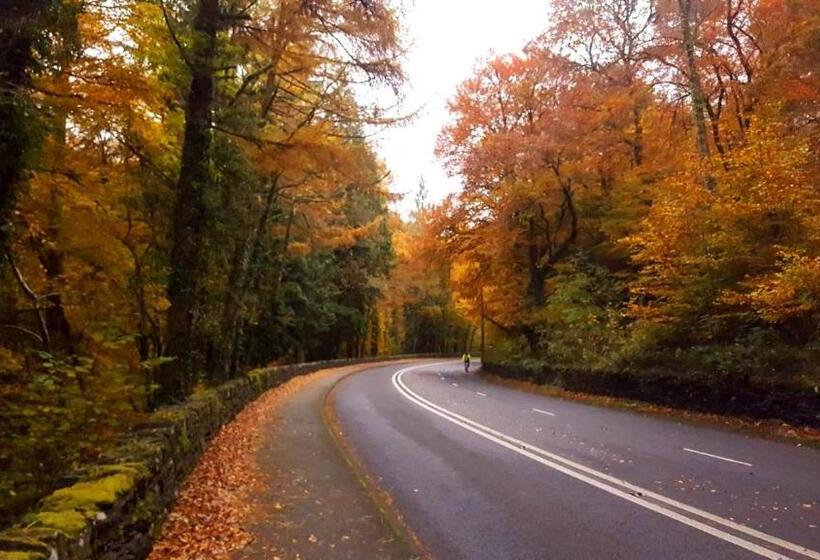 Bod Gwynedd Bed And Breakfast