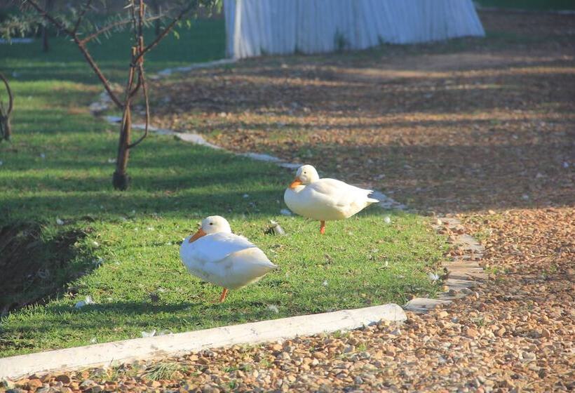 Chelaya Country Lodge