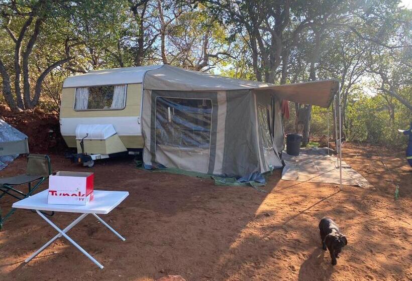 酒店 Adansonia Eco Lodge