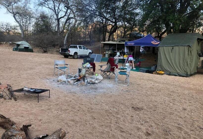 酒店 Adansonia Eco Lodge