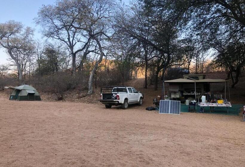 酒店 Adansonia Eco Lodge