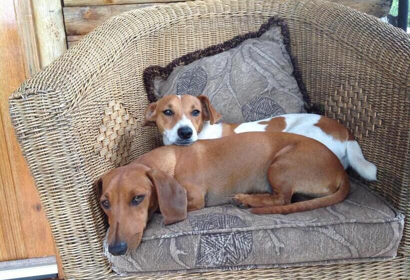 酒店 Adansonia Eco Lodge