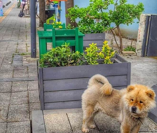 ホテル Agva Sunset