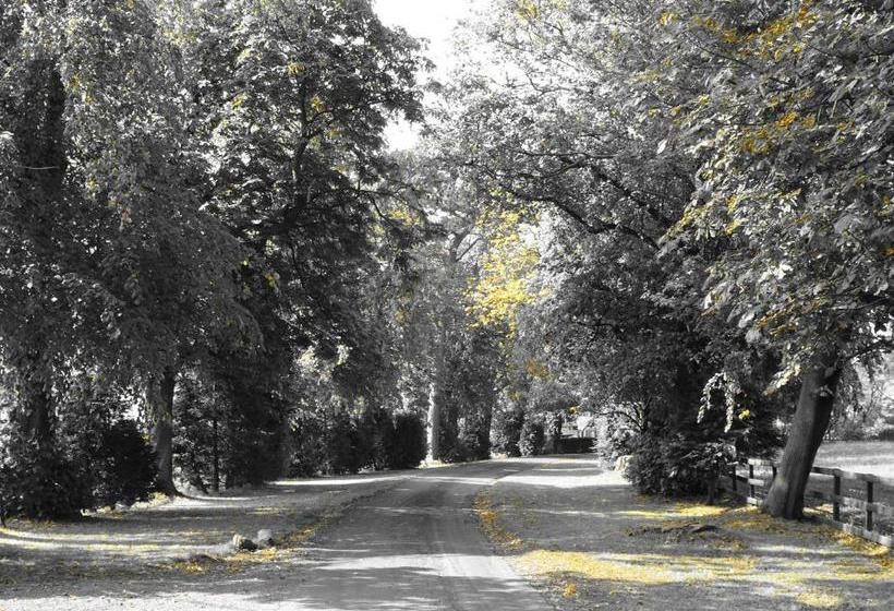 בית מלון כפרי Arden Country House