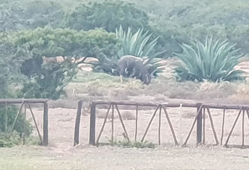 Отель Charihandra Game Lodge