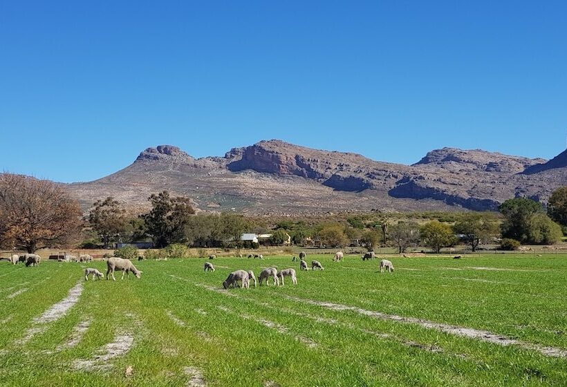 בית מלון כפרי De Pakhuys
