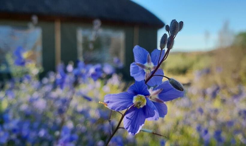 בית מלון כפרי De Pakhuys