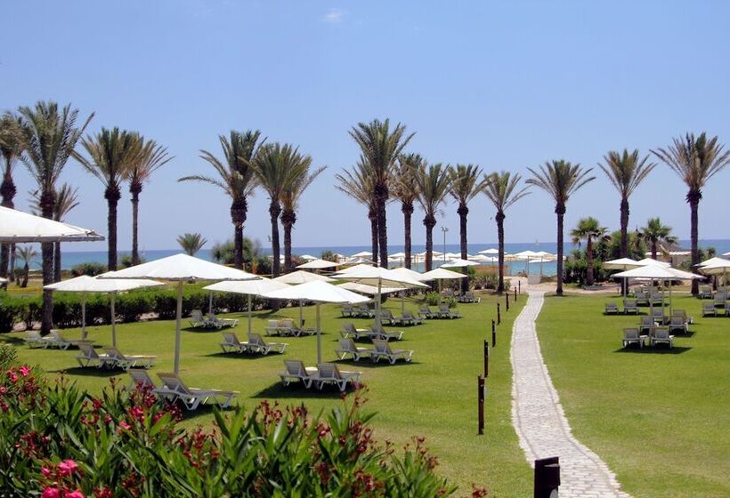 فندق Calimera Delfino Beach Resort & Spa   All Inclusive