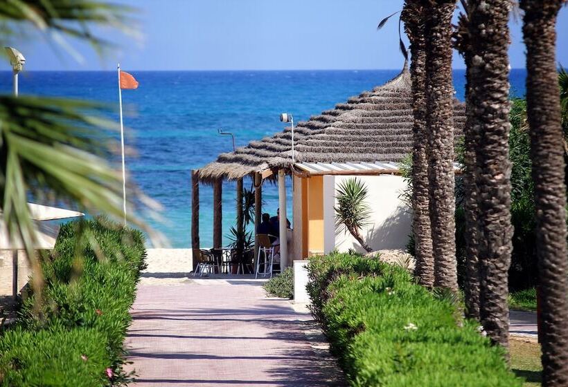 فندق Calimera Delfino Beach Resort & Spa   All Inclusive