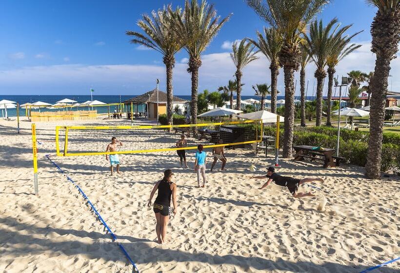 فندق Calimera Delfino Beach Resort & Spa   All Inclusive