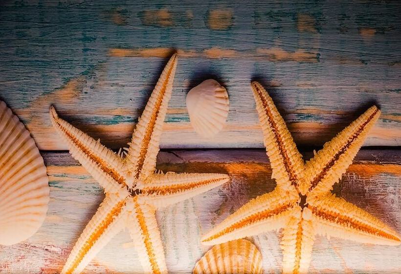 酒店 Fiesta Inn Puerto Vallarta Isla