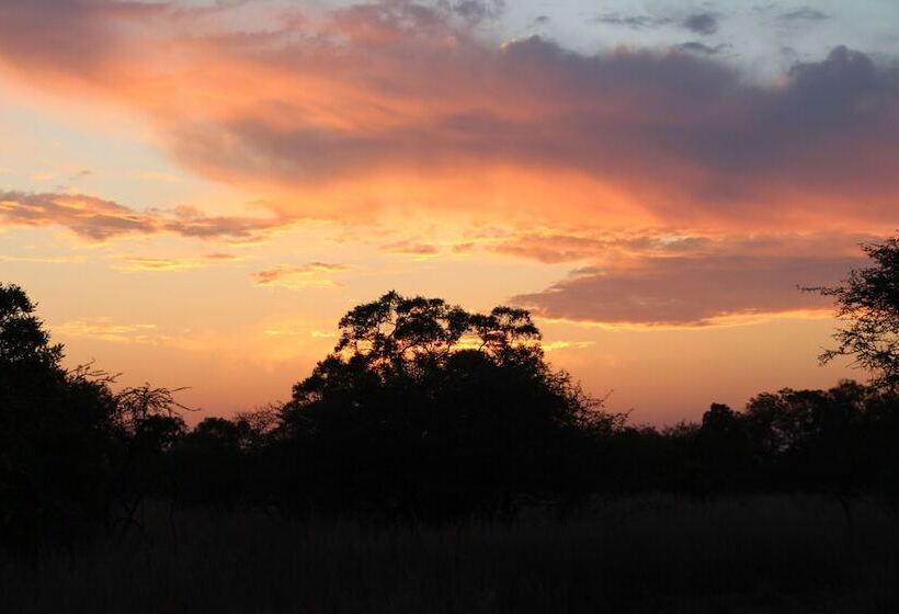 בית מלון כפרי Foreva Wild