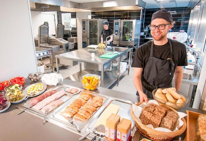 Lofoten Sommerhotell Og Vandrerhjem