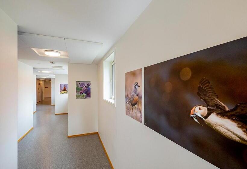 Lofoten Sommerhotell Og Vandrerhjem