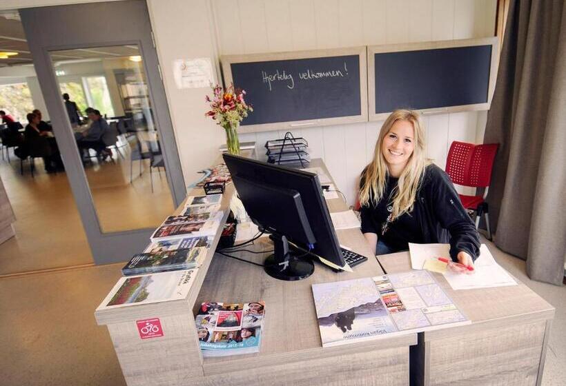 Lofoten Sommerhotell Og Vandrerhjem