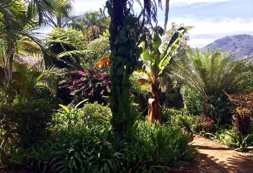 酒店 Magoebaskloof Mountain Lodge