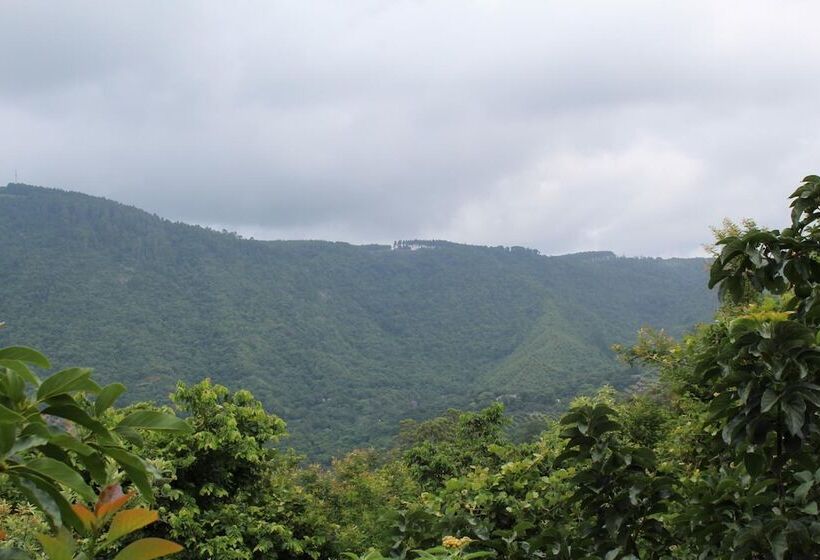 酒店 Magoebaskloof Mountain Lodge