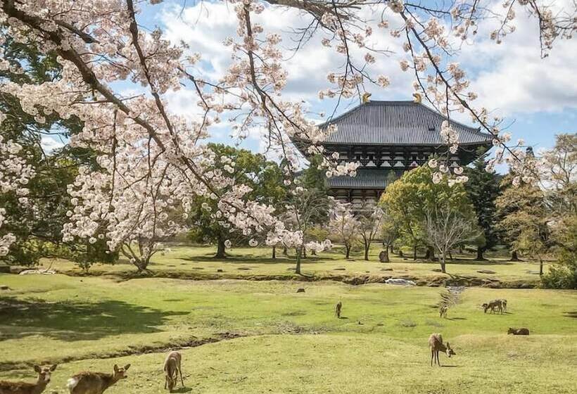 Отель Nara Visitor Center And Inn
