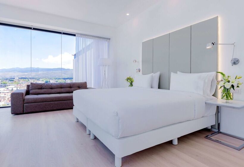 فندق NH San Luis Potosi