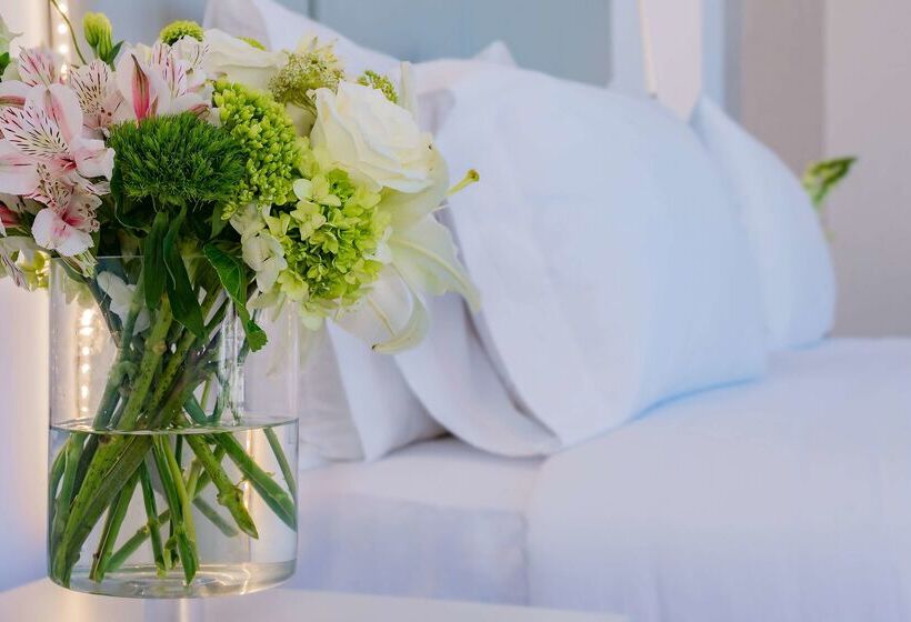 فندق NH San Luis Potosi