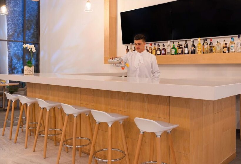 فندق NH San Luis Potosi