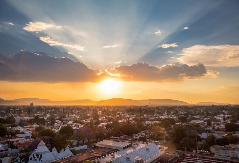 فندق One Guadalajara Expo