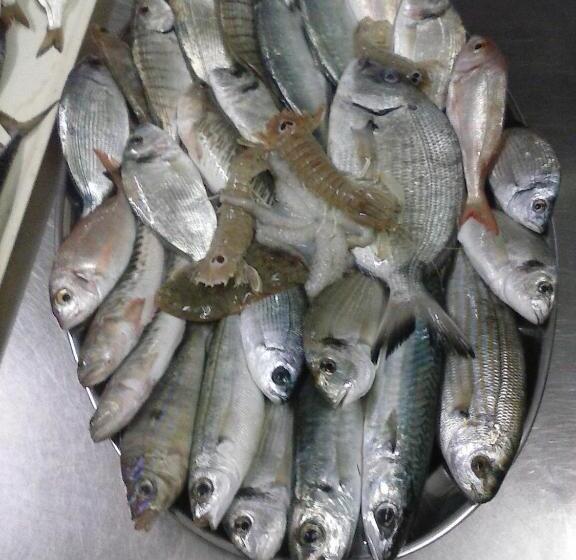 فندق Piccolo Paradiso