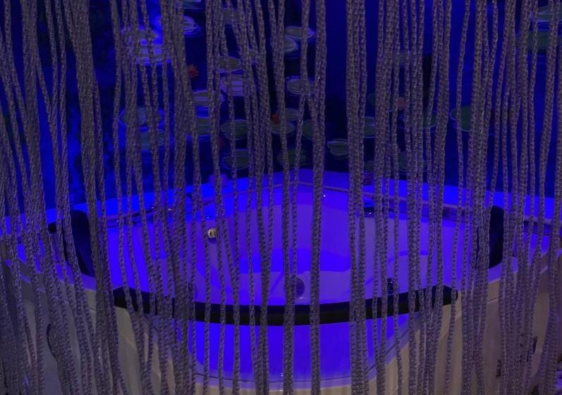 בית מלון כפרי Rosa Blu