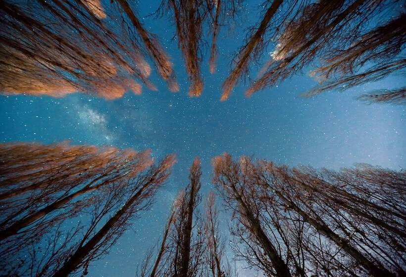 ホテル Termas El Corazon