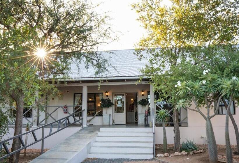 酒店 The Belgium Inn