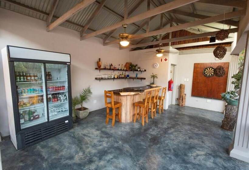 酒店 The Belgium Inn