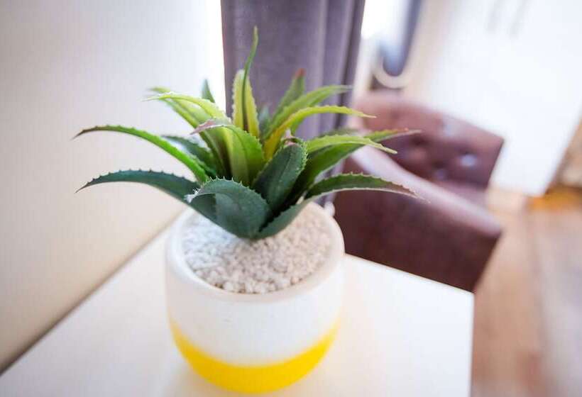 New National Hotel And Conference