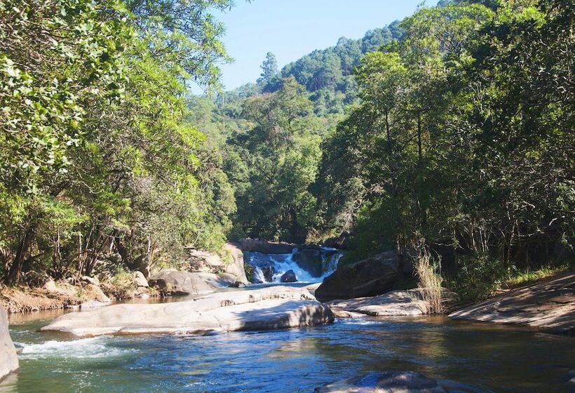 호텔 Timamoon Lodge