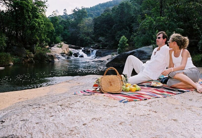 호텔 Timamoon Lodge