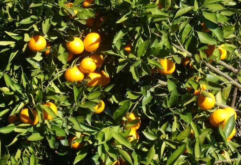 ホテル Villa Neretva   Metković