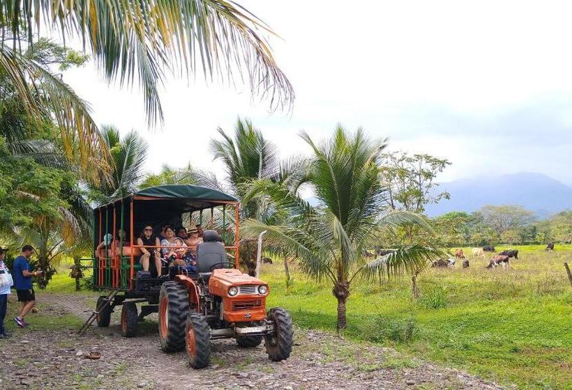 酒店 Y Parque Turístico Navar City