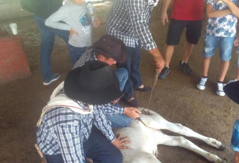 酒店 Y Parque Turístico Navar City