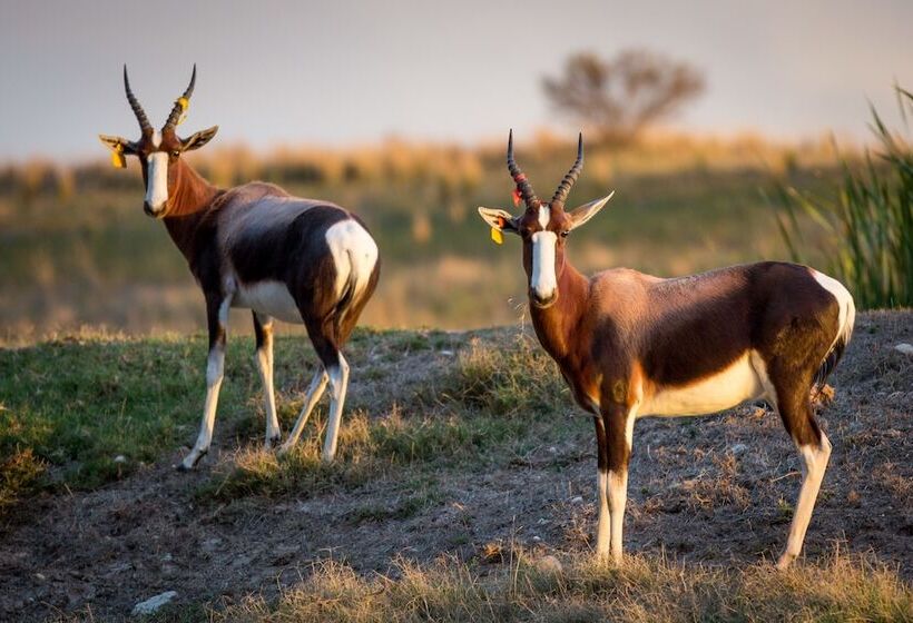 Kwetu Guest Farm