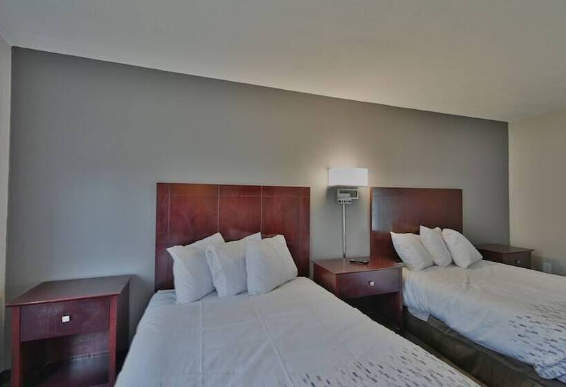 Maplehurst Motel