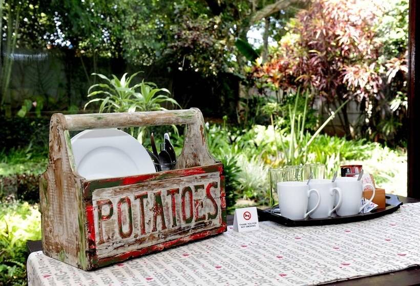 Oliveroom Self Catering And B&b