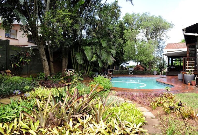 Oliveroom Self Catering And B&b