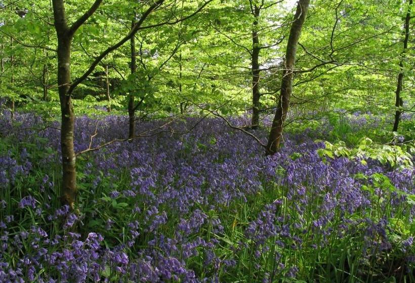 פנסיון Coopershill House