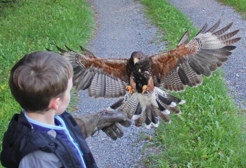 بنسيون Coopershill House