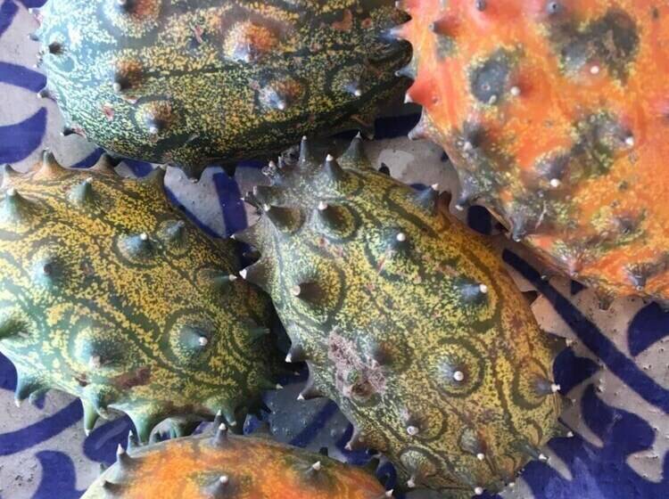 פנסיון Kimberley Country House